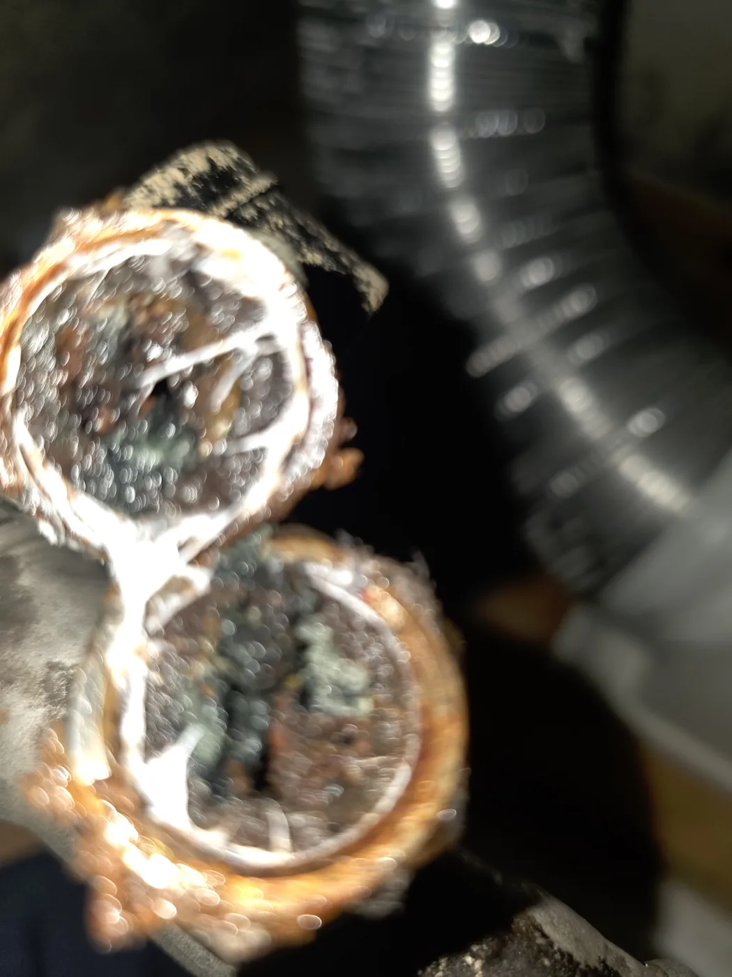 切下的給水管管口內部鏽蝕結垢